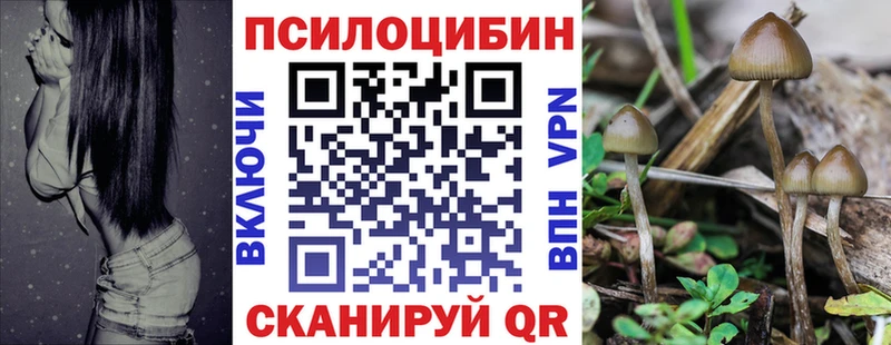 Галлюциногенные грибы мицелий  mega ССЫЛКА  Иланский 